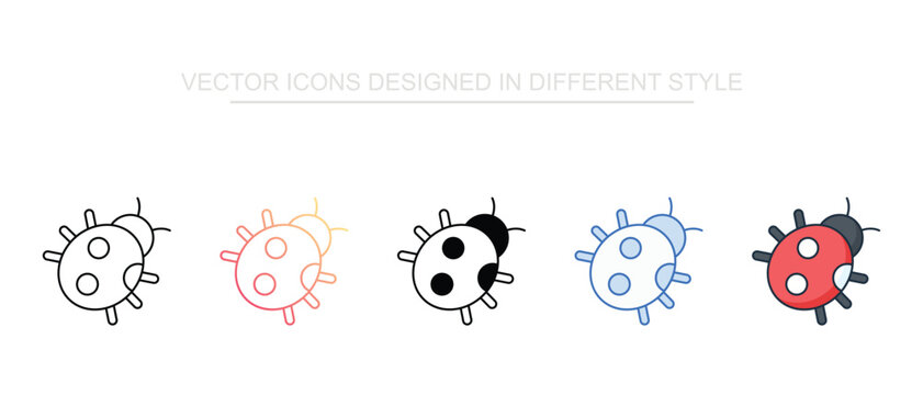 Ladybug Insect Icon Set