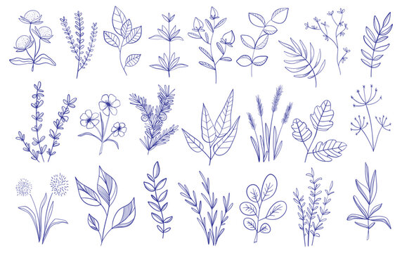 Floral branch and minimalist flowers for logo or tattoo. Hand drawn line wedding herb, elegant leaves vector 9