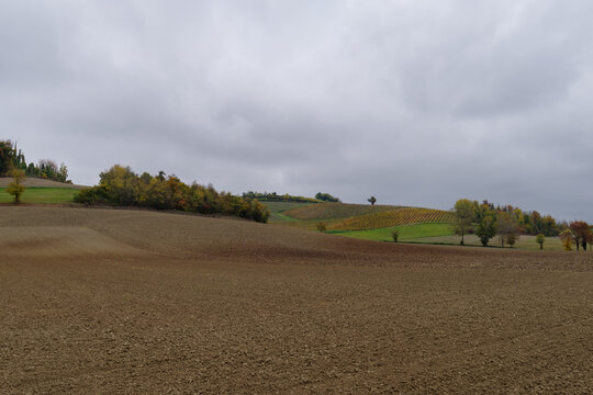 Plowed field on hills, Monferrato, Piedmont region, Italy