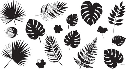 A striking collection of tropical monstera and palm leaves in a black and white botanical illustration © Graphicslover
