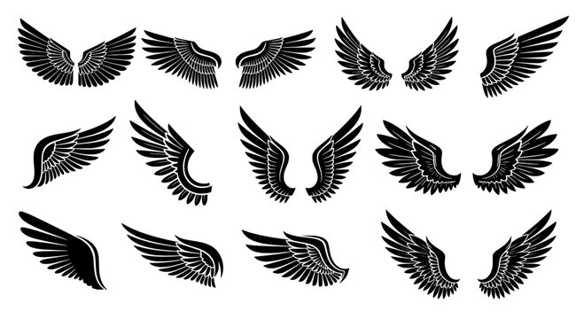 Bird feather wing icon set with monochrome line art, tattoo style, wings spread silhouette for logo and design backgrounds