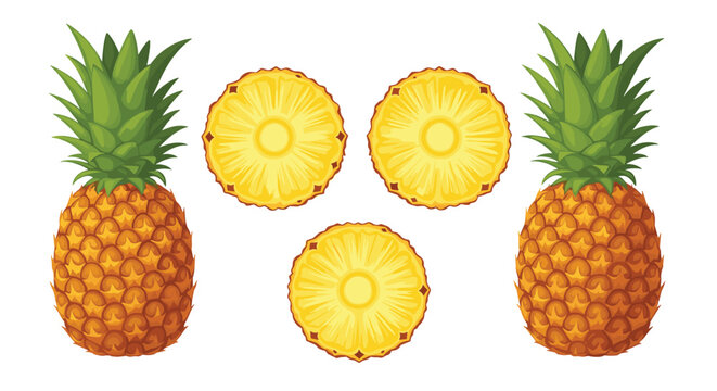 Fresh pineapple whole and slices vector illustration with realistic tropical fruit isolated on white background