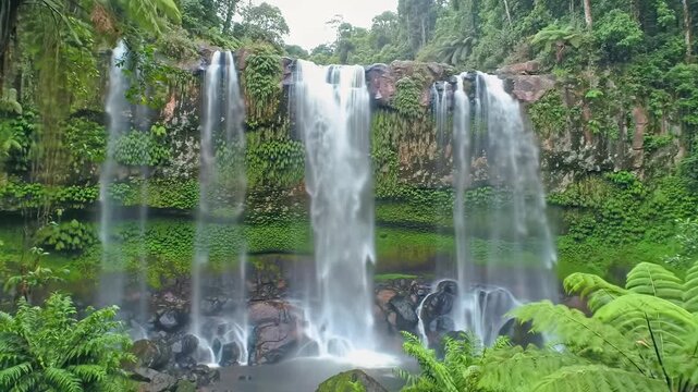 A majestic multi-tiered waterfall cascades gracefully down an emerald rock face in a lush tropical rainforest. Slow dolly out reveals foreground trunk. Serene nature concept.