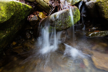 Mały górski strumień pośród starego lasu © kubikactive