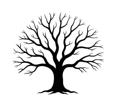 Vector of a bare tree with sprawling branches.