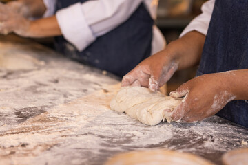 Fototapeta premium Diverse women bakers in dark aprons shaping yeast dough on floured bench at bakery, copy space