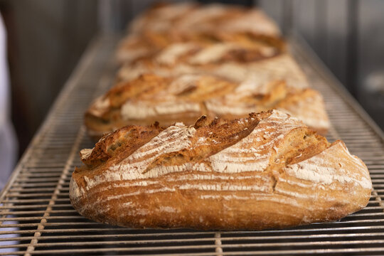 Artisanal sourdough loaf cooling on metal rack in bakery, showing flour-dusted golden crust