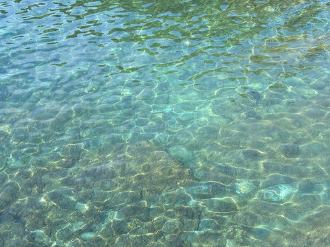 Crystal clear sea green water with algae on the bottom.