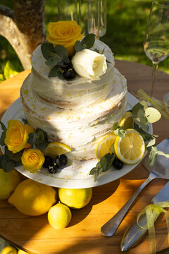 Two-tiered semi-naked cake sitting on table in garden with lemons roses server catching sunlight