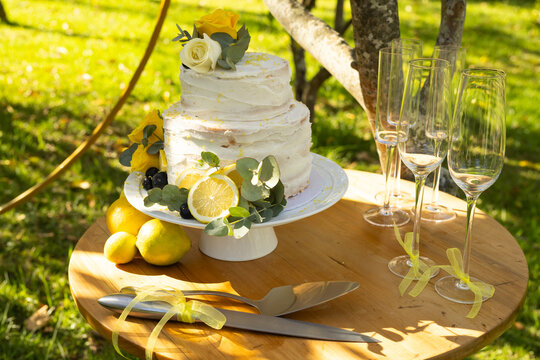 Two-tier white buttercream cake sitting on round wooden table in garden, beside champagne flutes