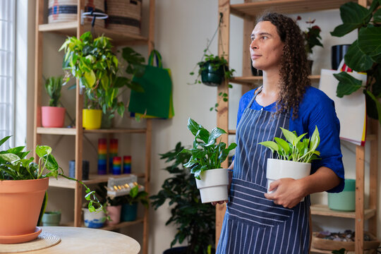 African American nonbinary worker wearing apron holding two white pots in plant shop, copy space