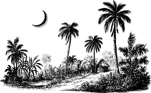 Tropical landscape with palm trees, hut, and crescent moon in black and white