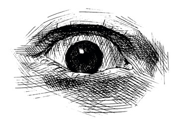 Obraz premium Man eye drawing. Expression with a significant emotion hand drawn ballpoint pen illustration traced in vector. 