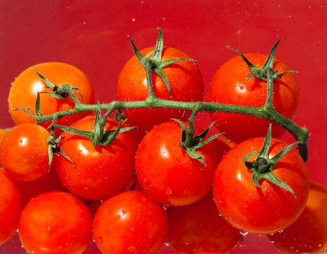 Cluster of ripe, red cherry tomatoes on the vine with water droplets, against a vibrant, blurred red backdrop