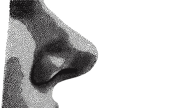 Close-up view of a human nose in profile with detailed texture