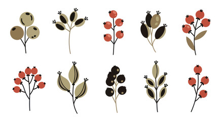 Set of minimalist autumn berry branches and botanical icons on a white background © Dodol Creative Stock