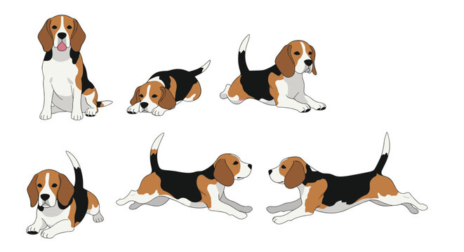 Set of illustrations featuring a beagle dog in various active poses including sitting, running, jumping, and resting on the ground.