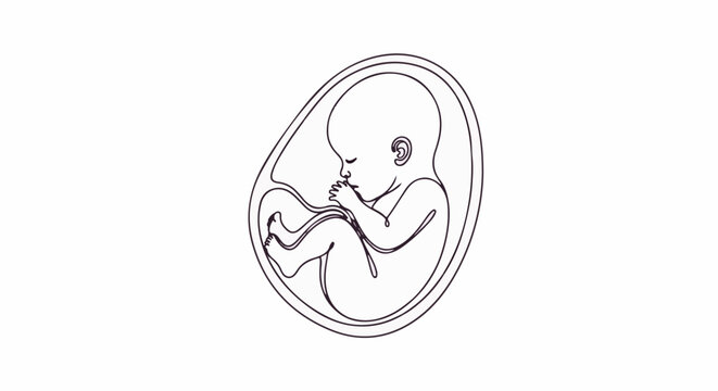 Black and white line art of a fetus inside an amniotic sac