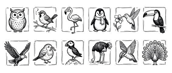 Fototapeta premium Twelve distinct hand-drawn bird illustrations are presented in a charming black and white sketch style, showcasing various species including an owl, flamingo, penguin, and peacock
