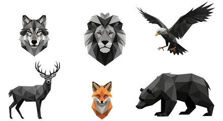 Obraz premium Wild Animals Collage Wolf Lion Deer.