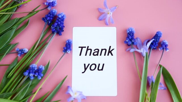 natural floral flat lay with blue blossoms on pastel pink background