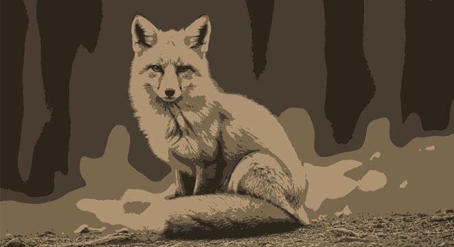 Adobe Illustrator Artwork