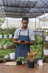 Asian man wearing dark blue apron checking smartphone at greenhouse table with two potted plants © wavebreak3