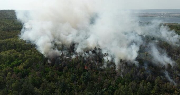 Aerial view forest fire smoke pillars. Wildfire destroying green woodland summer. Ecological problem nature catastrophe environmental emergency. Drone shot climate change global warming concept video