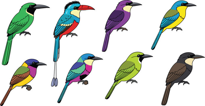 Bee-eater bird species colorful tropical avian wildlife flat icon set