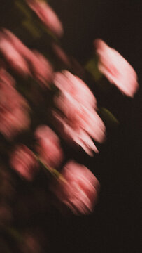 Abstract motion blur of pink flowers creating a soft dreamy background with dynamic movement, gentle colors and artistic floral impression.