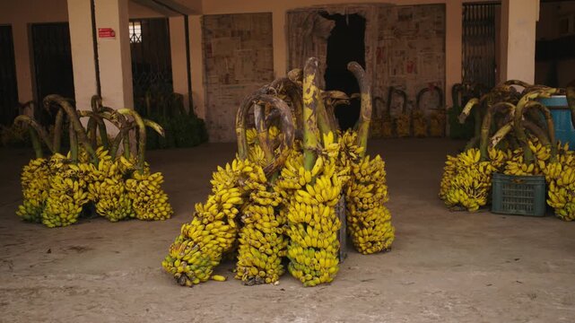 indian fruits and vegetable market potato onion graoes banana