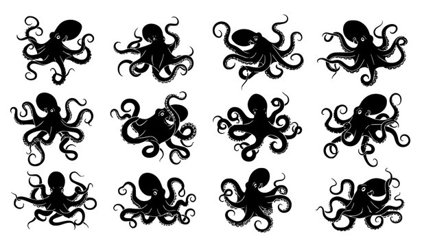 Octopus silhouette vector marine life set tentacle sea creature icons