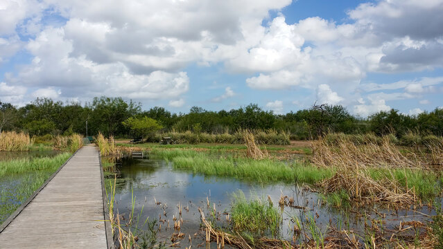 Estero Llano Grande State Park in Texas