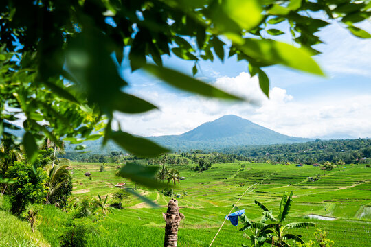 Jatiluwih Rice Terraces: UNESCO Cultural Landscape and Traditional Subak Irrigation in Bali