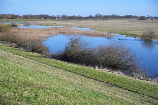 Floodplains and shallow water areas between the dikes along the banks of the Elbe River, a landscape in northern Germany, copy space