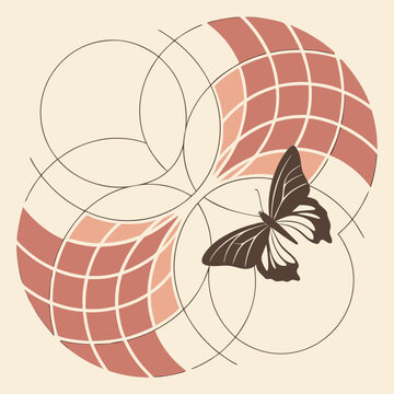 A butterfly on a globe with pink grid lines