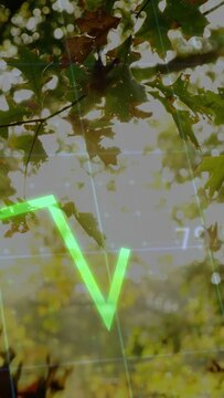 Vertical video: Sun sparking grid, neon graph drawing across moving oak leaves showing data