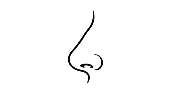 Simple black line drawing of a human nose with nostril detail