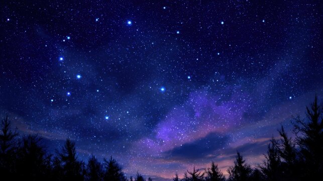Constellation visible above pine silhouettes at deep blue night