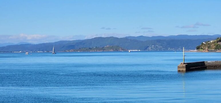 Wellington, New Zealand-22 January 2025: Harbourfront Sailboat and Hillside Cityscape Under Clear Blue Skies. The video highlights Wellington&rsquo;s blend of maritime activity and scenic urban development.