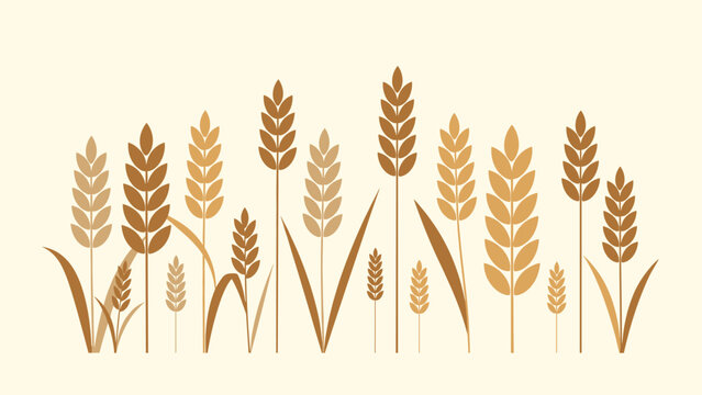 Field of ripe wheat ears standing tall under a soft light representing agriculture, harvest time, and food production.