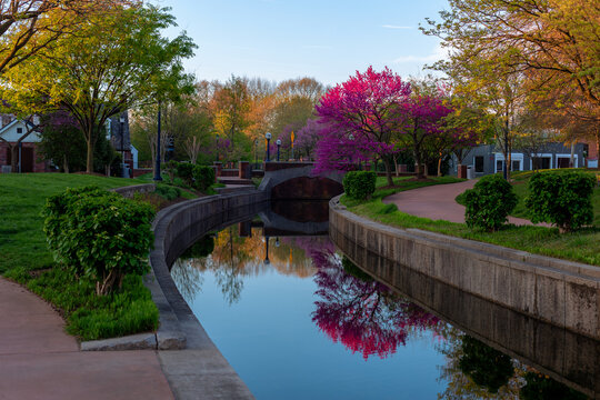 Scenic spring view of Carroll Creek in Baker Park, Frederick, Maryland, with a blooming pink redbud tree reflecting in the calm water.