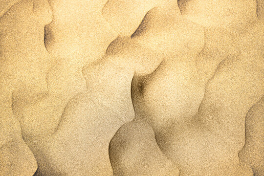 Wind-rippled sand dune surface abstract texture top view