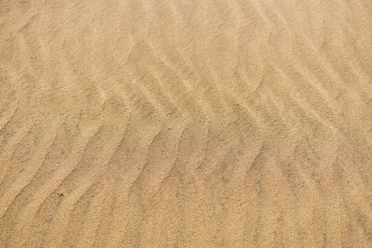 Sand dune with chevron ripple pattern top view
