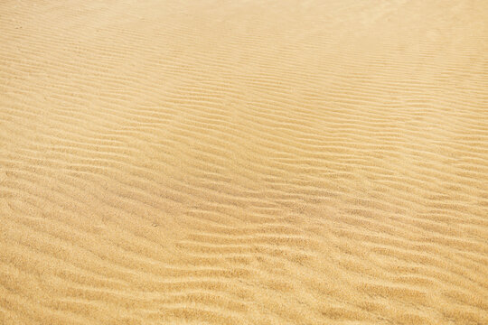 Sand dune ripple patterns wide view with horizon