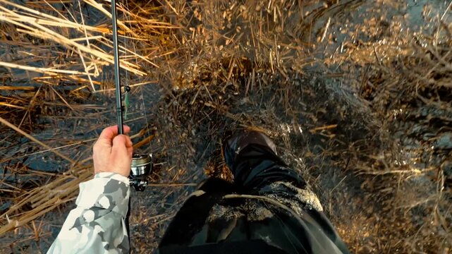 Fisherman Wading Through Marshy Water with Fishing Rod Searching for Best Catching Spot. Hobby and Rural Recreation