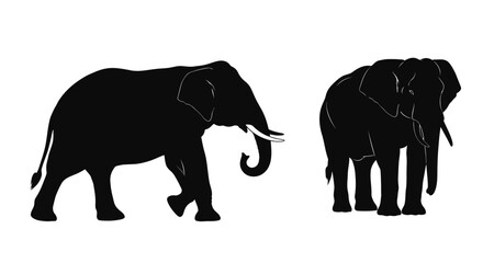 Fototapeta premium Two african elephants in a striking black silhouette on transparent background