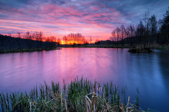 Beautiful sunrise over lake in the forest
