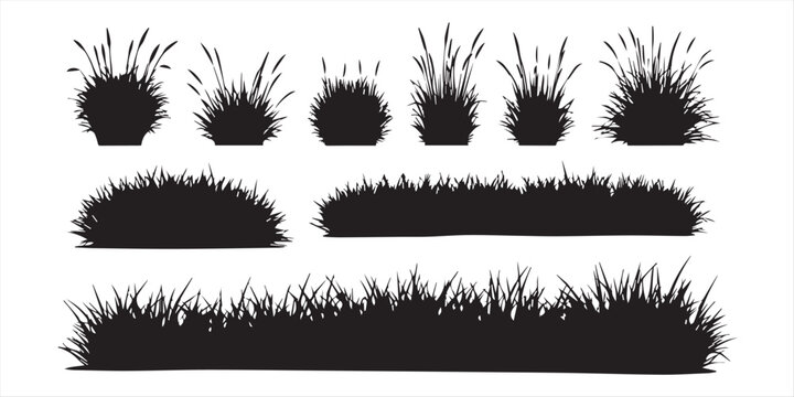 Assortment of black grass tufts and clumps in silhouette isolated on a white background for design
