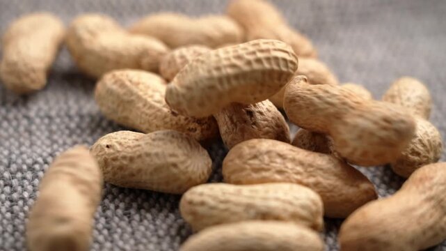 Peanuts in shells falling onto a textured fabric surface in slow motion. Concept of natural ingredients